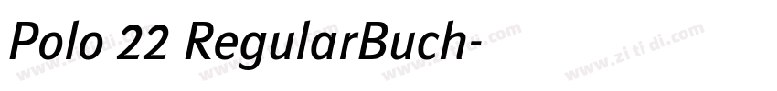 Polo 22 RegularBuch字体转换 Polo 22 RegularBuch字体转换